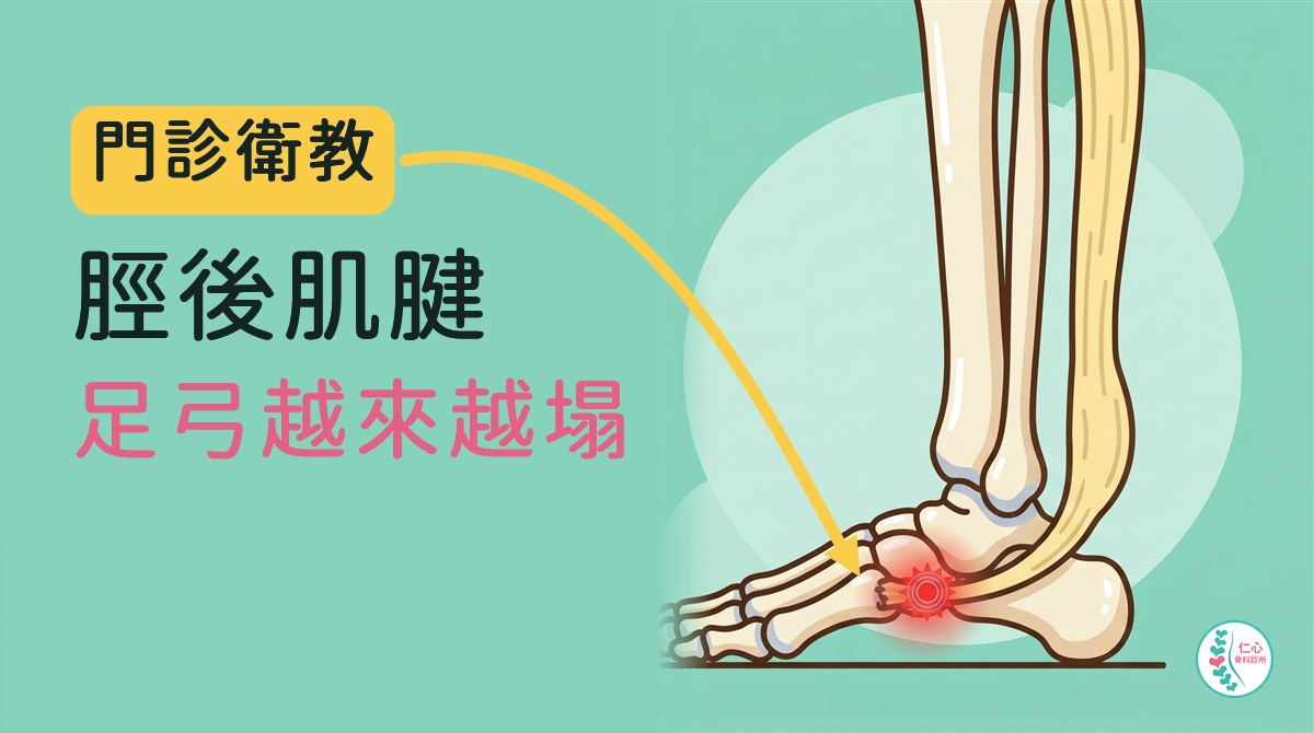 插畫：卡通小腿與腳的骨頭內側圖，足弓塌陷，一條淡黃色肌腱從小腿內側繞過腳踝內側往前接到足弓，足弓內側有紅色痛點；左側大字「門診衛教　脛後肌腱　足弓越來越塌」，黃色箭頭指向痛點，右下角是仁心骨科診所標誌。