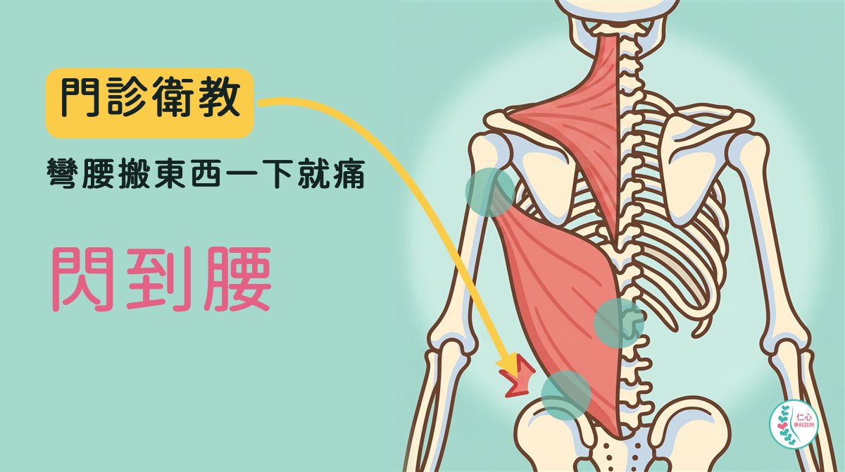 插畫：卡通骨骼從背後看，一側畫出上斜方肌和背闊肌，背闊肌從下背、骨盆上緣往上延伸到腋下接到上臂，上面標了三個圓圈：腋下接到上臂處、脊椎旁、骨盆上緣，下方有紅色疼痛標記；左側大字「門診衛教　彎腰搬東西一下就痛　閃到腰」，黃色箭頭指向下背，右下角是仁心骨科診所標誌。