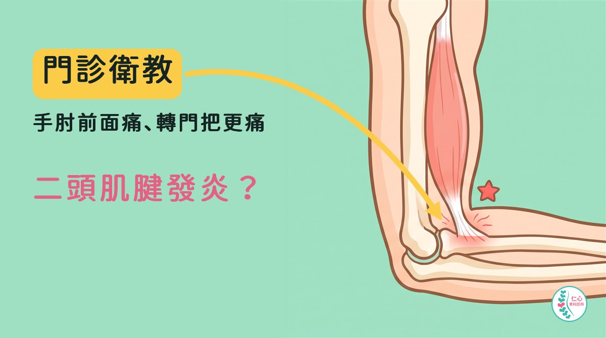 插畫：卡通右手肘側面，米白色骨頭，二頭肌往下變成肌腱接到前臂骨頭，接骨頭的地方標紅色細線、旁邊一顆小紅星，肌腱是連著的；左側大字「門診衛教　手肘前面痛、轉門把更痛　二頭肌腱發炎？」，黃色箭頭指向發炎處，右下角是仁心骨科診所標誌。