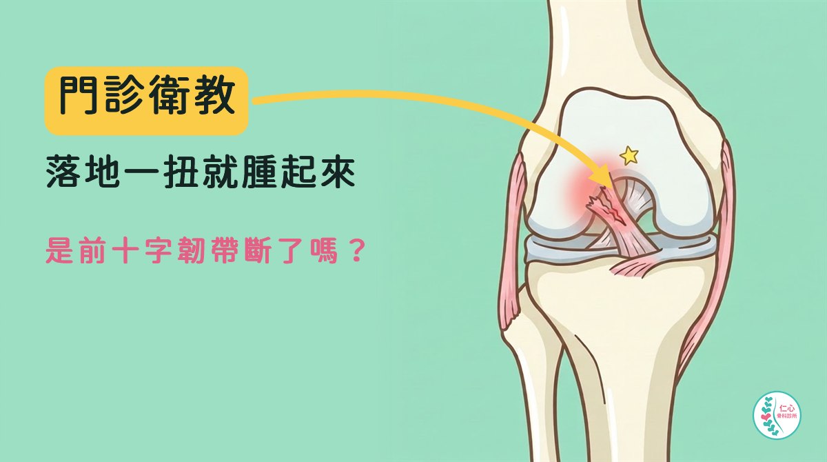 卡通膝蓋正面圖，前十字韌帶斷裂處標出紅色痛點