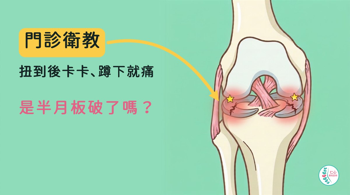 卡通膝蓋正面圖，內側與外側半月板破裂處標出紅色痛點